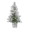 2ft. Pre-Lit Frosted Artificial Christmas Tree in Decorative Planter, Clear Lights